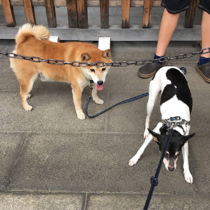 4a45bca7 43f9 44a1 b95c e72ecc223635