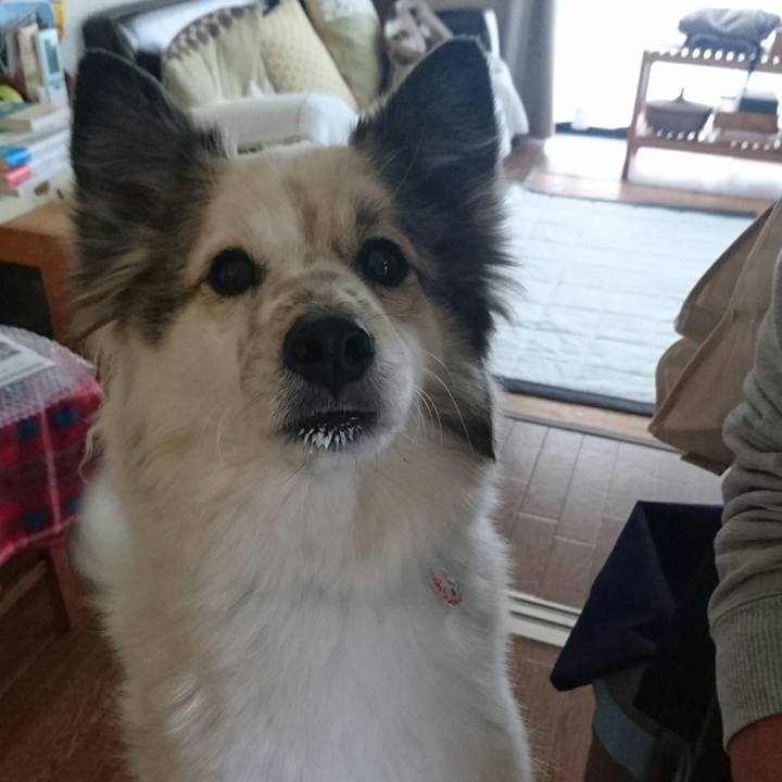 4a460300 3ef9 46d3 9f13 cead7c24f6f1