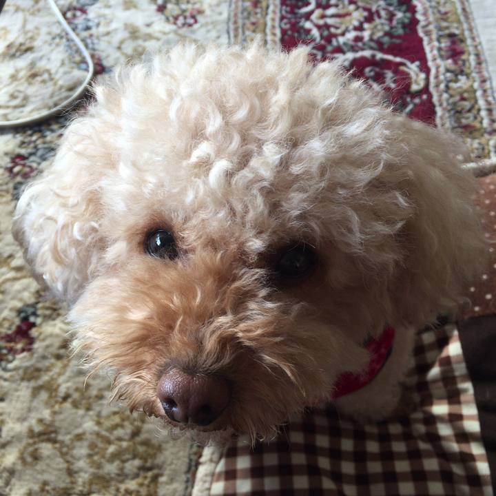 4a4683e4 ea3d 4ed8 a6a9 b17b8bf59c29