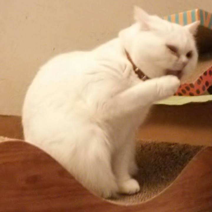 4a46be57 7f48 4aa7 b2aa 23c88a4f6f44