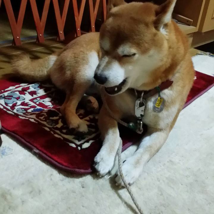 4a47292b 5bd9 4eba 84e5 d6f88896c811