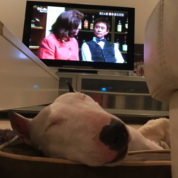 4a47cae3 7804 42b1 948a d4e6c613d674