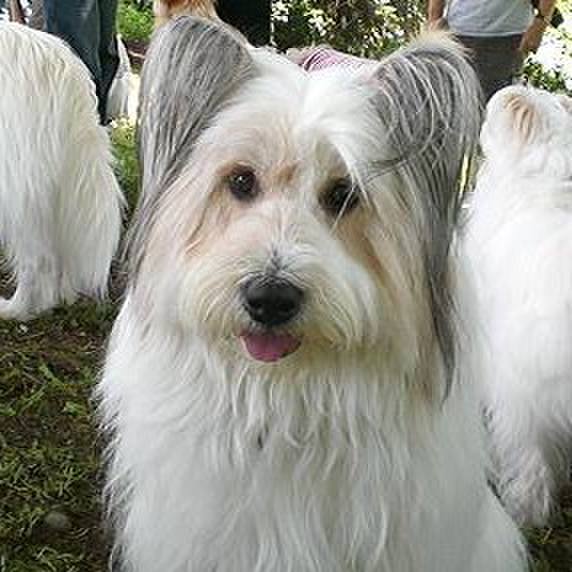 4a485b04 b462 4f69 b4bf 268542384b59