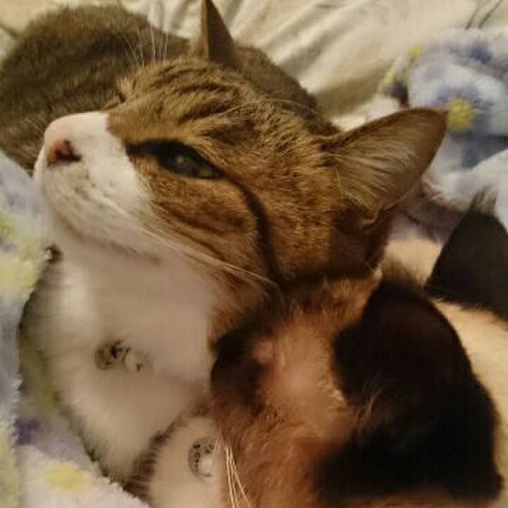 4a4882a4 fc3e 4e2c a588 c47669f79f40