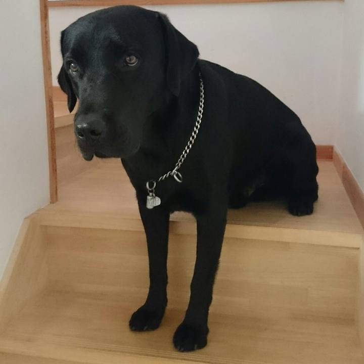 4a48b670 1ea9 44f3 a2ee 575bcffee1d6