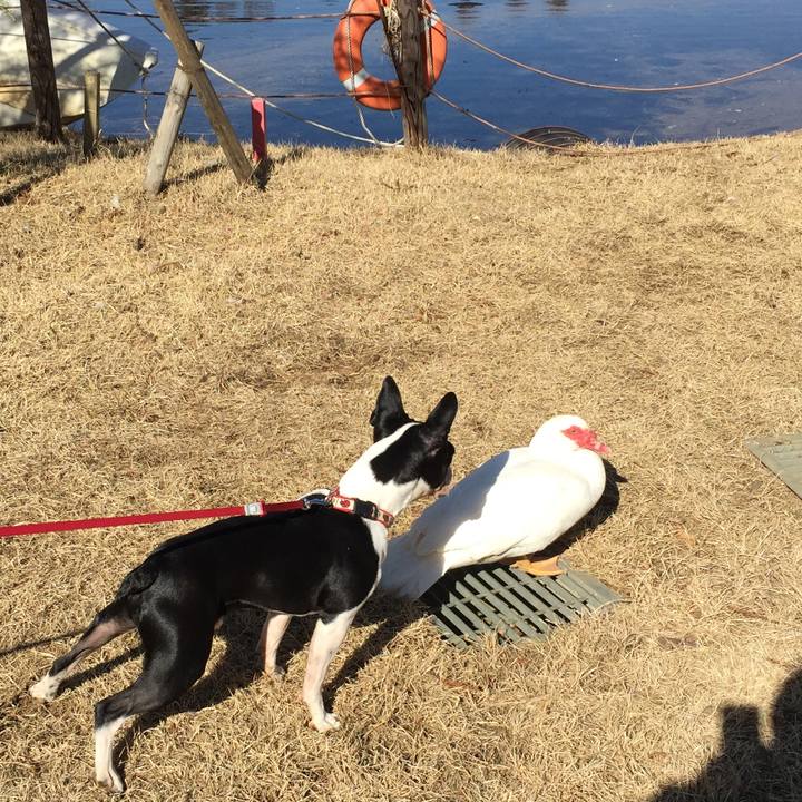 4a48c885 aba4 4f64 b904 bafd7b175842