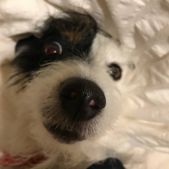 4a494d30 e9b8 425b 995e faa75d482249