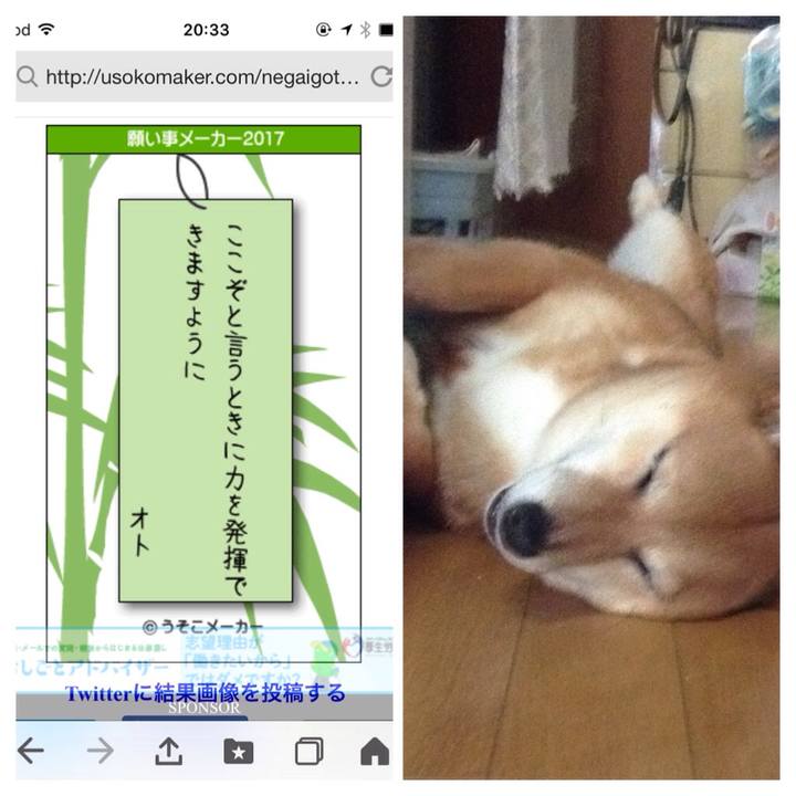 4a49ca1b 57b7 4754 b3bc d702aa38ad8c