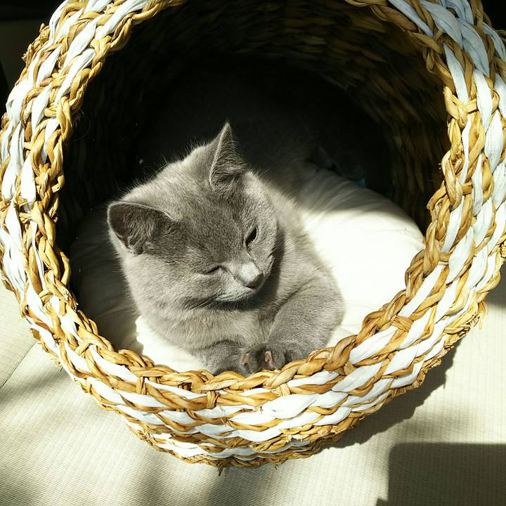 4a4a8d01 b037 4d2f 912c d210bfc3655b