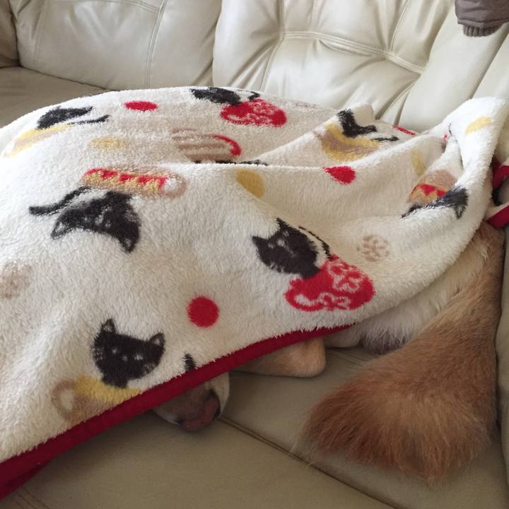 4a4a9308 6d24 4668 9802 a586e1536f37