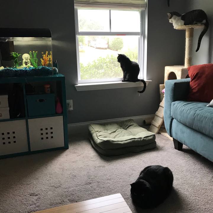 4a4adcee 5ef3 40d2 af11 2692bac291a1