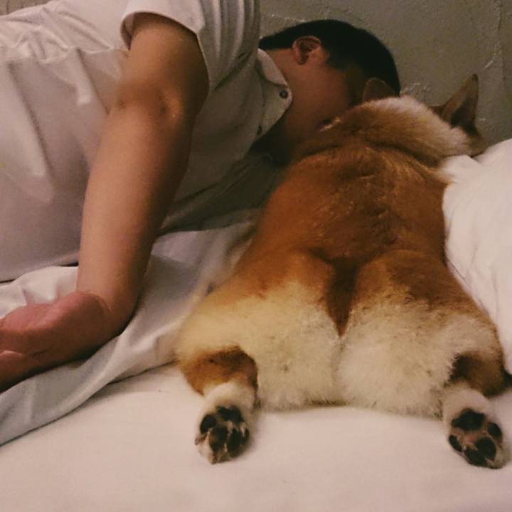 4a4b715b e0f6 451a 903f 4b051b189dab