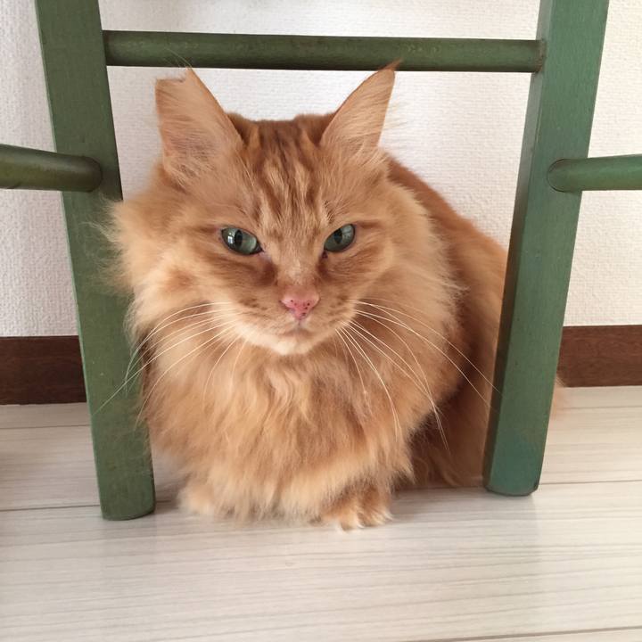 4a4b8740 8c1e 45c1 80e5 3367b2b32ccf