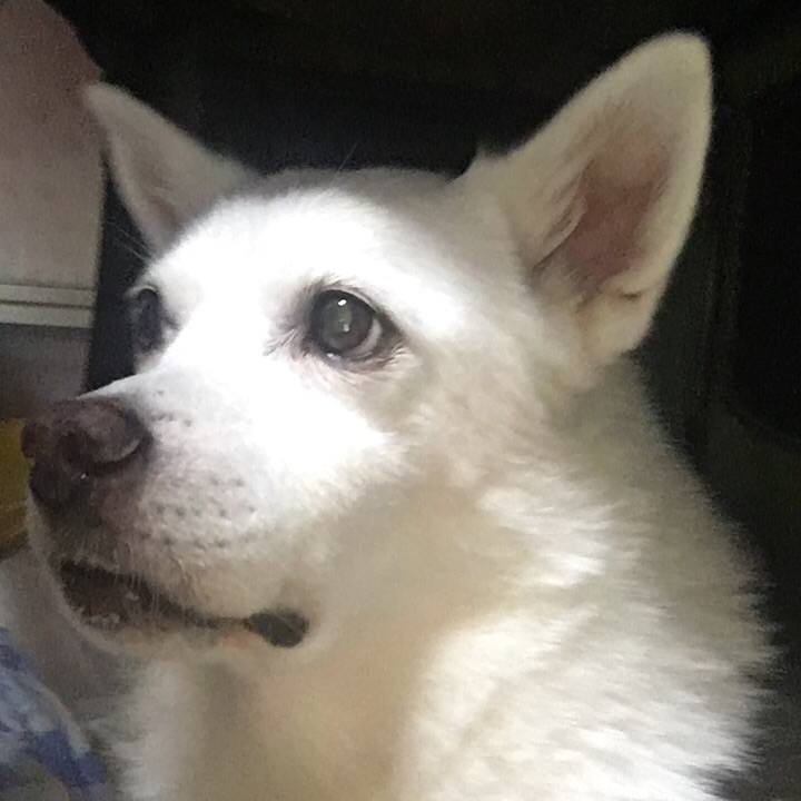 4a4bce55 2575 406f 8a22 0b7d93bb6e75