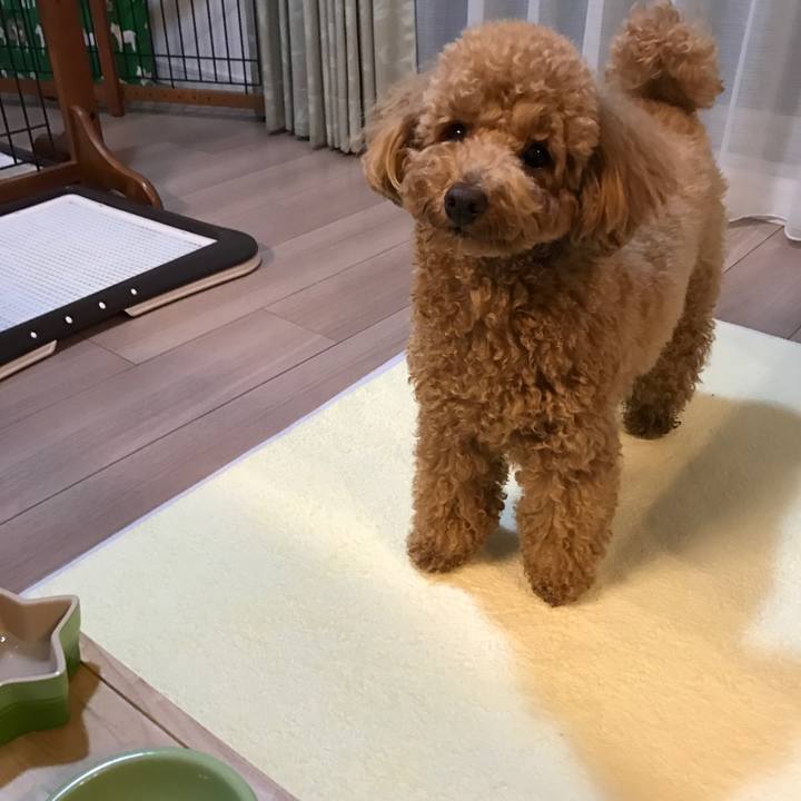 4a4c2416 1096 4b77 8826 9116efcdf0fa