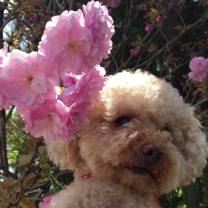 4a4c6005 e0d9 494b b1a0 0b9674c7d93a