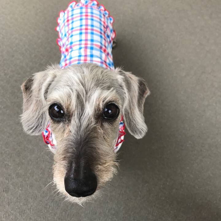 4a4c9840 190e 46ba b2e1 dc3b736846c2