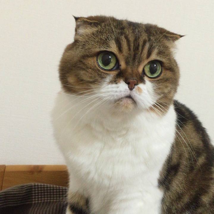 4a4d1461 286b 448d 9f96 90b519c320ef