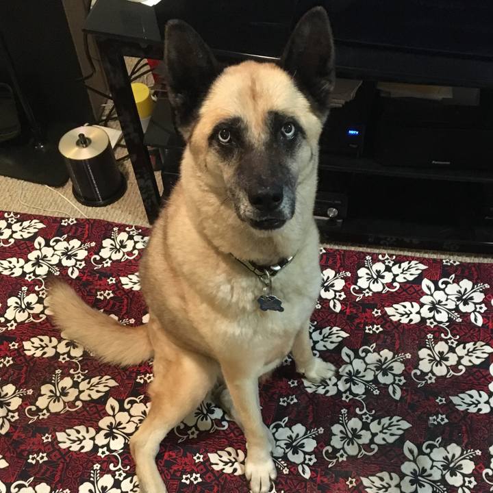 4a4d5876 2678 45b5 85a2 24cb5c388cb5