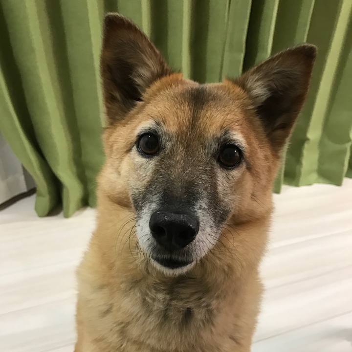 4a4d8291 6584 4eef 9f20 d35b2dec4066