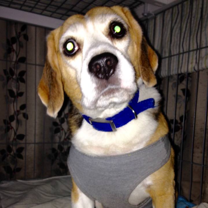 4a4de340 06ab 4dbc abd1 bd75ba294d0c