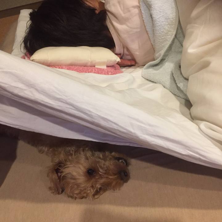 4a4e1cd8 cc61 4a3b 89ea ec1328a8a35b