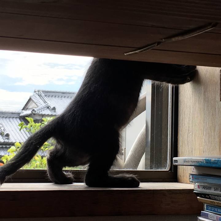 4a4e9f49 c463 4001 80a9 7a8d8c4b444e