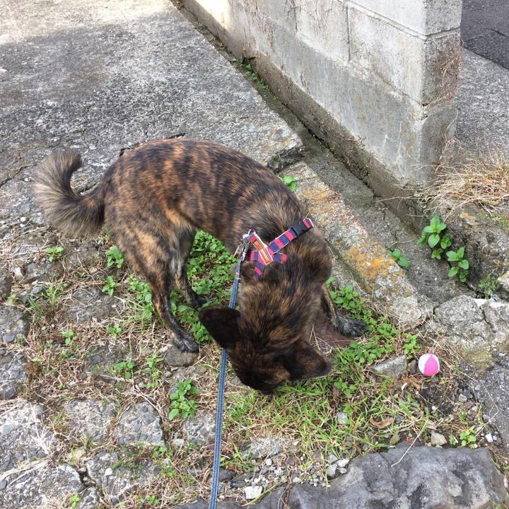 4a4f1b50 c6ad 4213 9e24 a6ea89a507fb