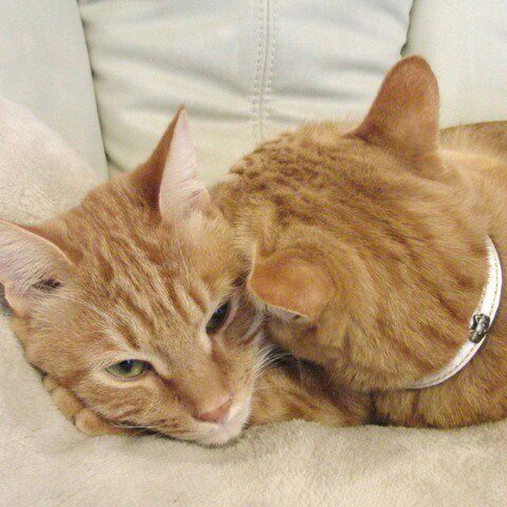 4a4f5159 e6f4 4e73 a263 4ca18f2d6266