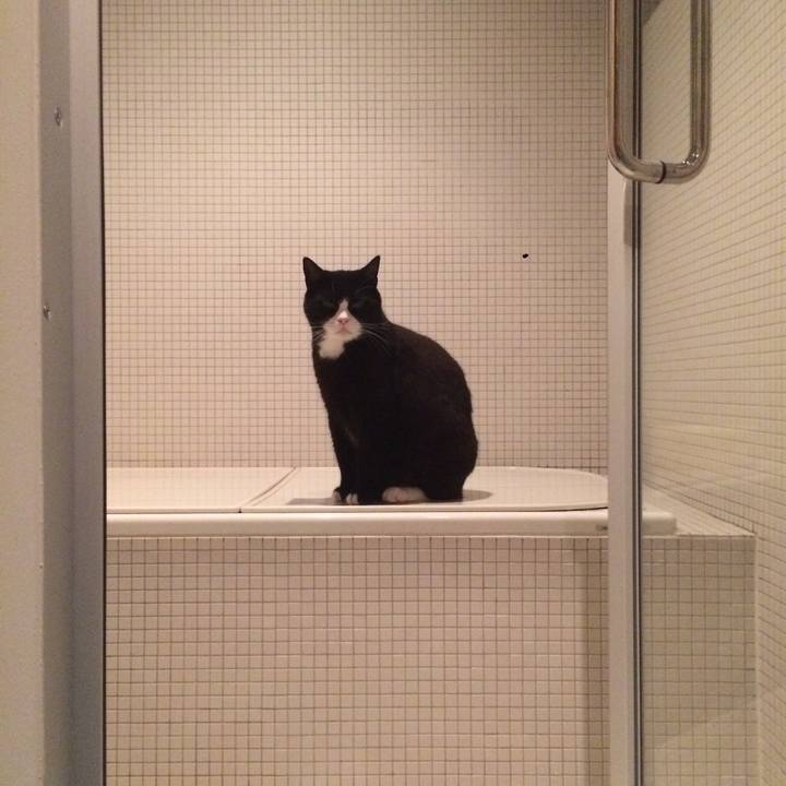 4a4faae1 c946 4d78 96b0 fb7d575b2d34