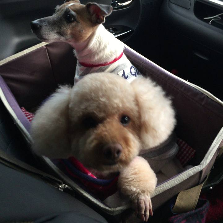 4a5004ca 2bb4 40c3 a981 cfa22487a5a9