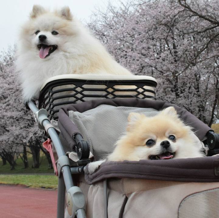 4a505de9 7987 4003 8011 e6e3cabb8e01