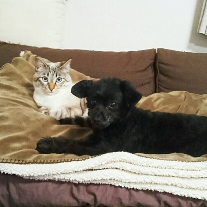 4a5082db 98f6 49c0 a1c0 98456cb3c2e3