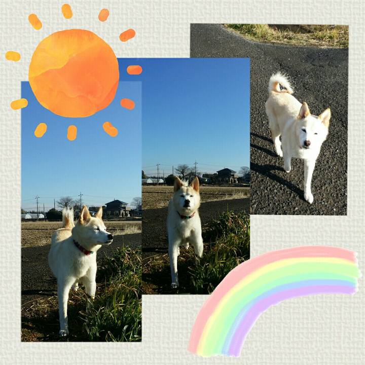 4a515da1 4e0d 4f36 b8c1 293efbb5a373