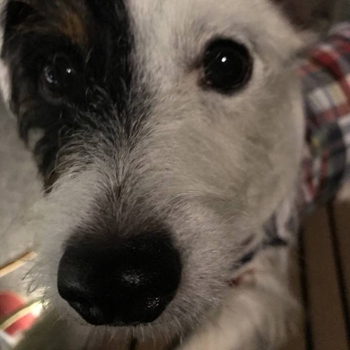 4a52cda7 c2d2 4085 a03f caddfbe6da78