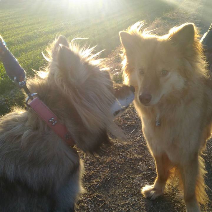 4a52ea88 fddc 44d6 82cf d6344fe42175