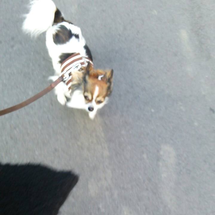 4a52f115 9317 4bdd aed1 989a1c0c32e4