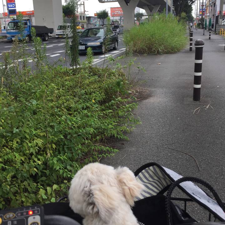 4a533d45 67bd 4de8 b0b1 ec66b160c14f