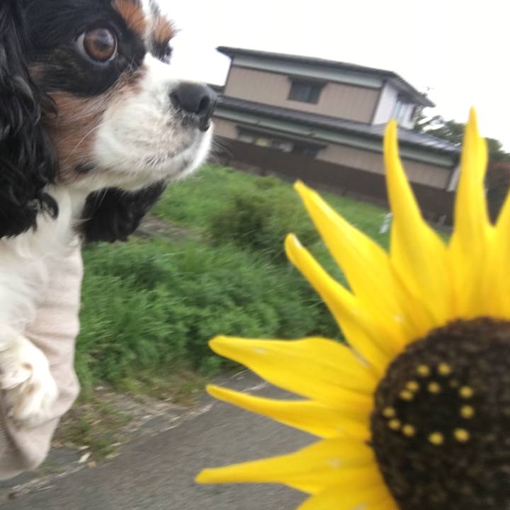 4a542721 ab45 485a 8c2f 0345a5063e07