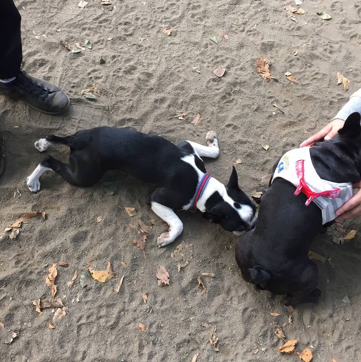 4a544875 5140 4d43 a9c8 2c97e3a843aa