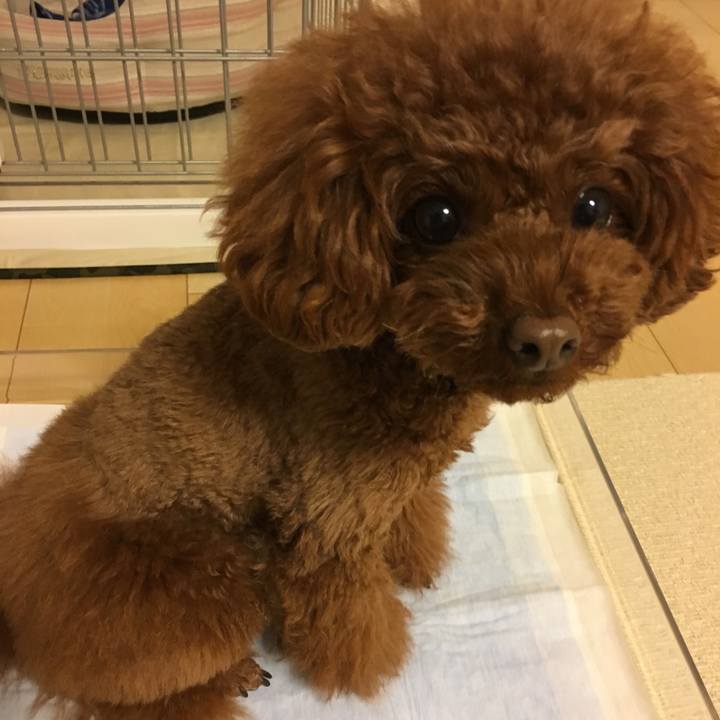 4a55e636 5743 4fb7 9591 cbc3ee38da1b