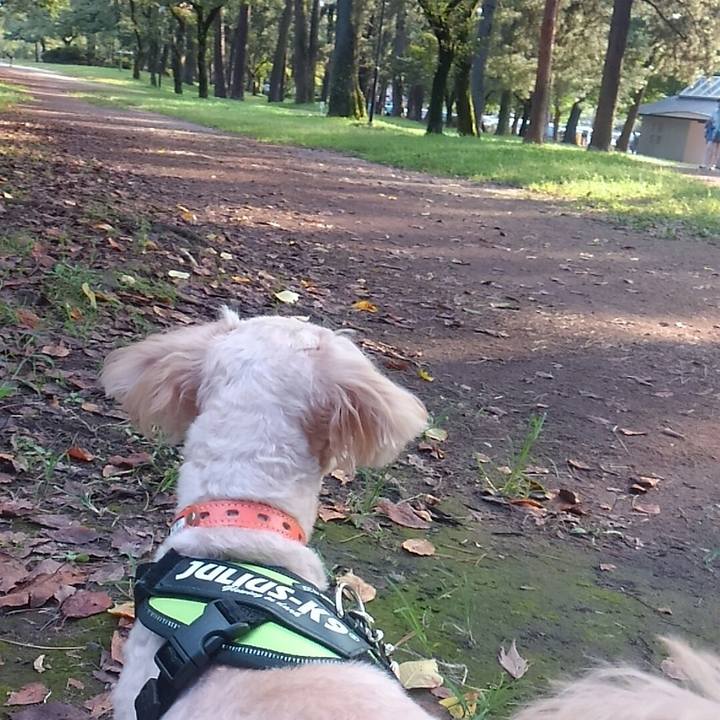 4a57babc a14c 4502 b85d 9d9dae1f3310