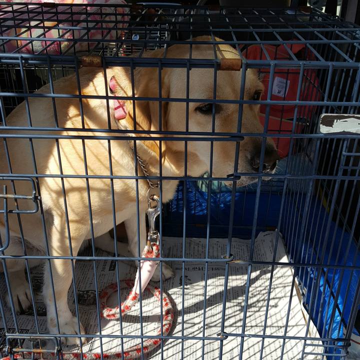 4a57dbc3 f9c9 400e a8f9 dc8c5d2a9323