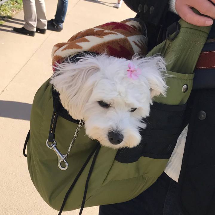 4a57ea0c c8ea 490c b3e4 96f2e02113d6