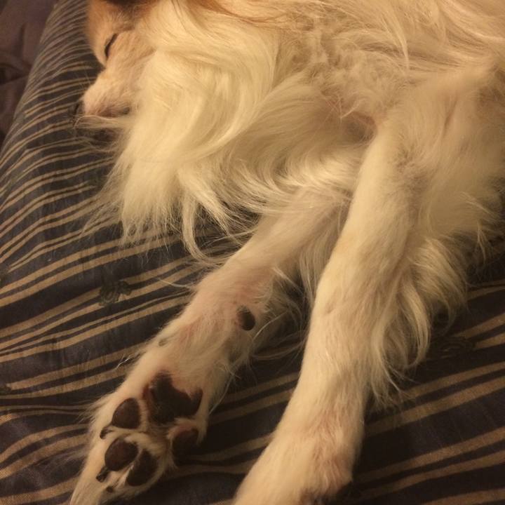 4a57fb10 e1bc 4a39 9f3e 64563e8e056a