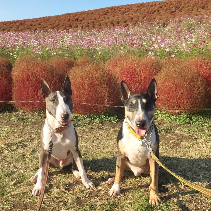 4a581f6b 16e2 4687 a29d dfbdcca8530c