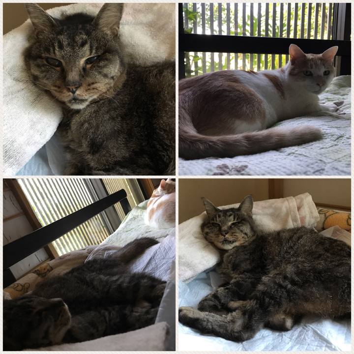 4a582eae 3f21 4eb3 aa07 91143b19059f