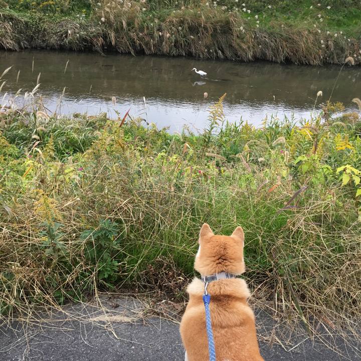 4a58e027 8307 4176 8330 0014d7c3725a