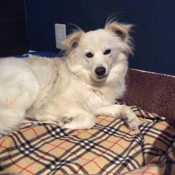 4a5984a3 27a4 4245 9601 13c774986853