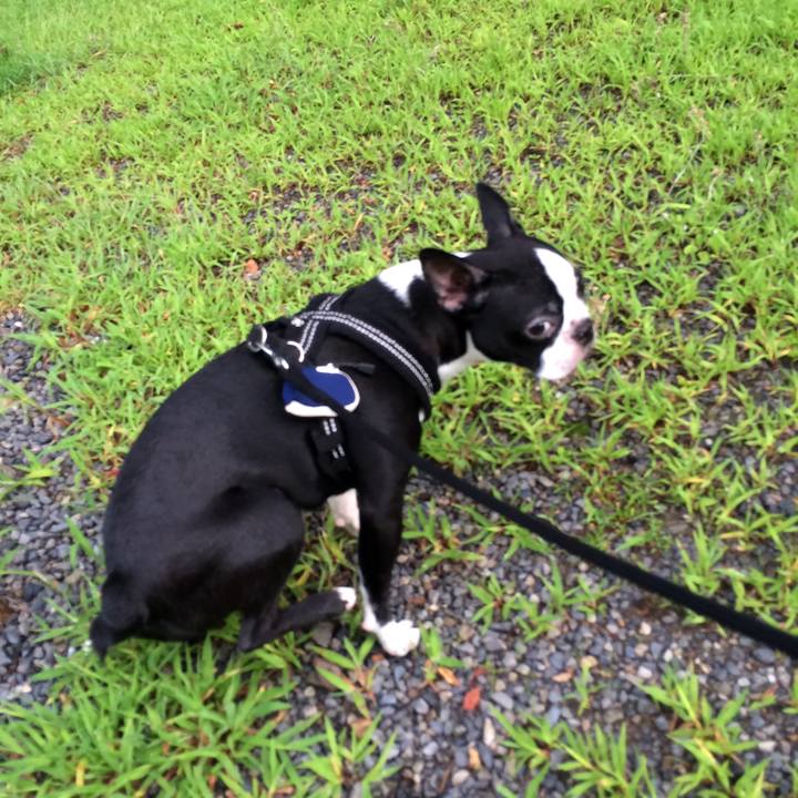 4a59eec1 ee89 4b47 a815 02791255a3ae